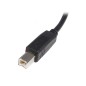 StarTech.com USB 2.0 A TO B CABLE - M/M StarTech.com USB 2.0 A TO B CABLE - M/M